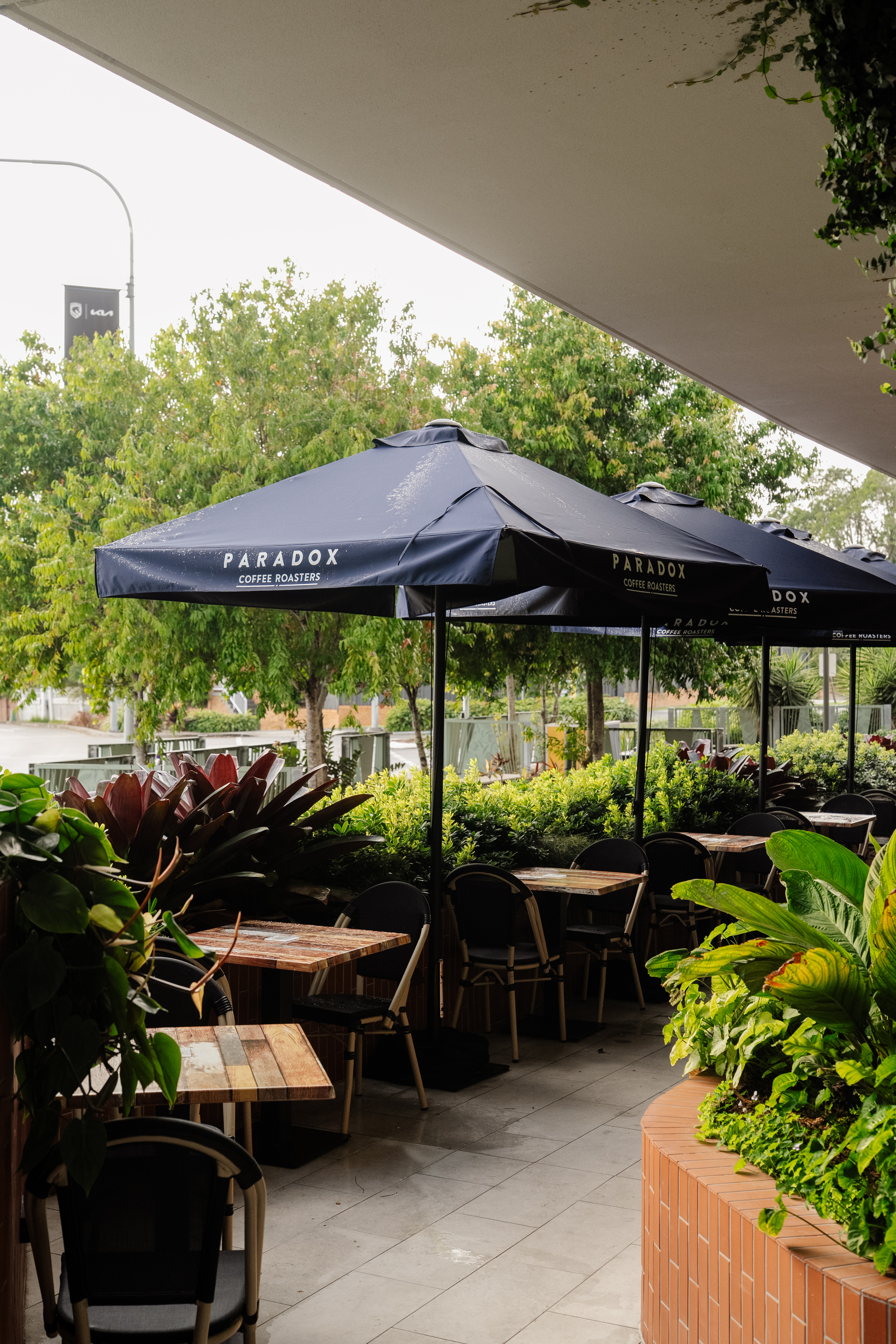 Outdoor tables surrounded by greenery at Brass & Bloom café in East Brisbane